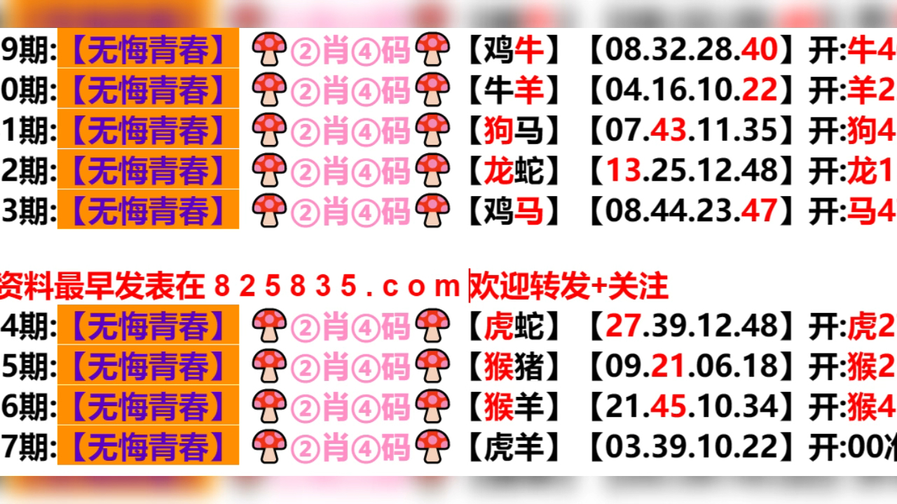 新奥门开奖结果2024开奖记录查询表_最佳选择_实用版776.124