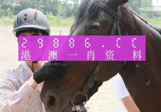 今晚澳门必中一肖一码55期_结论释义解释落实_3DM74.48.87